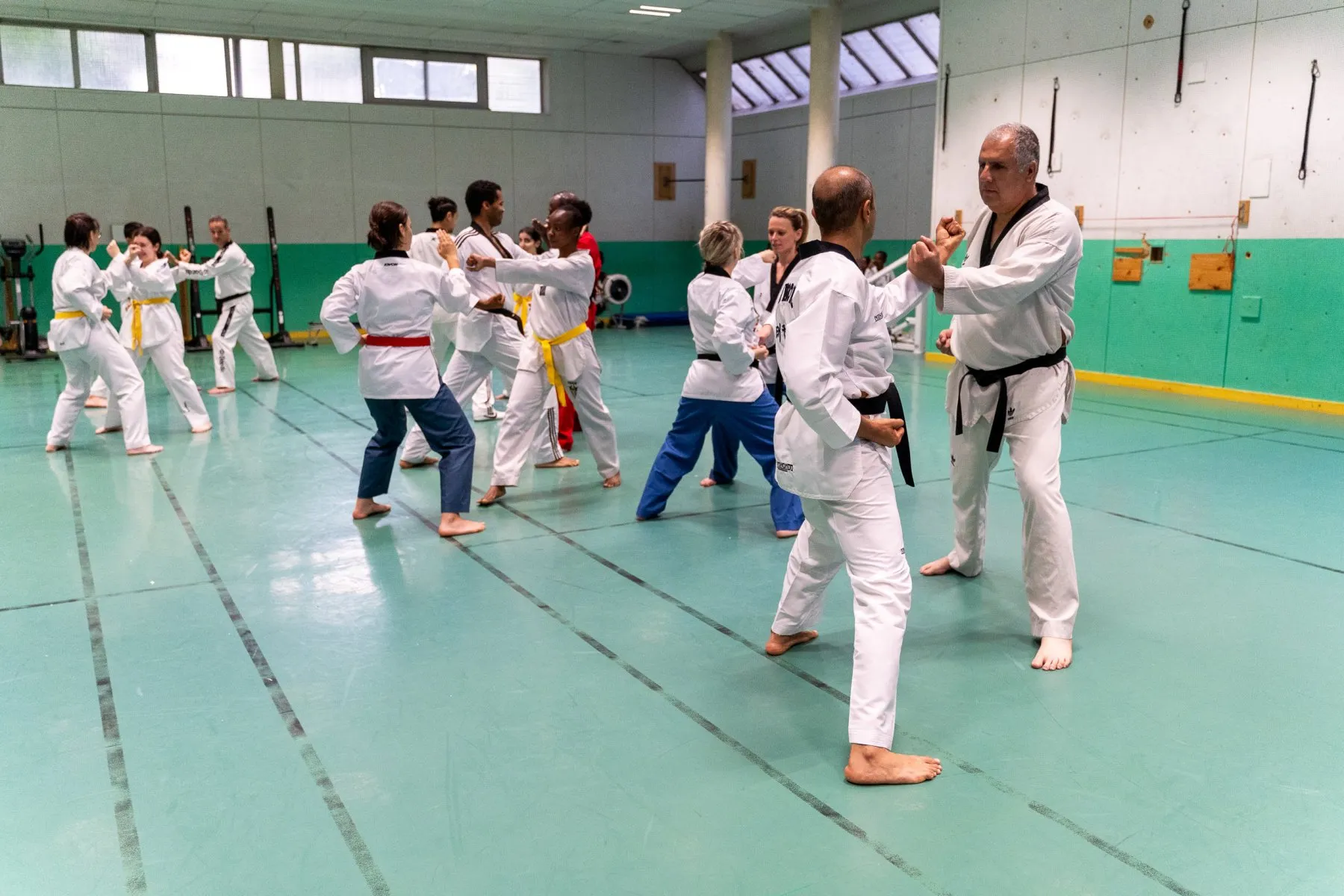 Taekwondo Meylan — photo 10